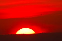 sunrise-over-the-pantanal-in-the-dry-season