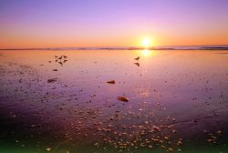 80-mile-beach