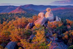 girraween-national-park