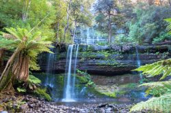 russell-falls