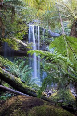 russel-falls-mt-field-national-park