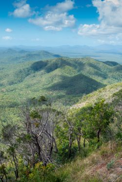 tropical-woodlands