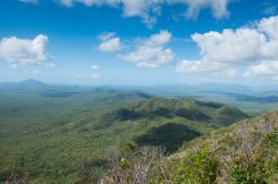 tropical-woodlands-2