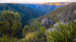 bungonia-gorge-national-park-2