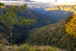 bungonia-gorge-national-park-3