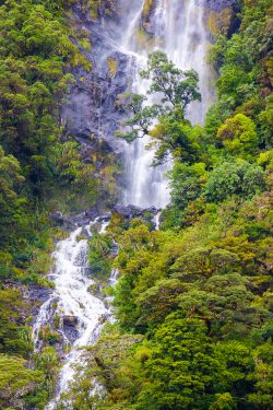 doubtful-sound-nz