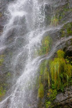 doubtful-sound-nz-4