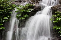 waterfall-lamington-np-2