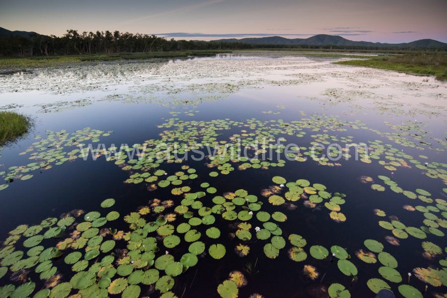 lake-kings-plains-stn-4