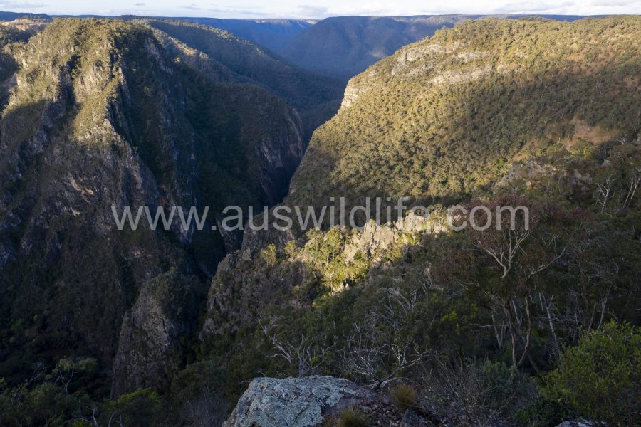 bungonia-gorge-national-park