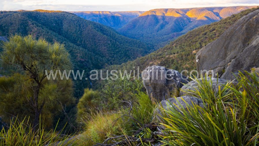 bungonia-gorge-national-park-2