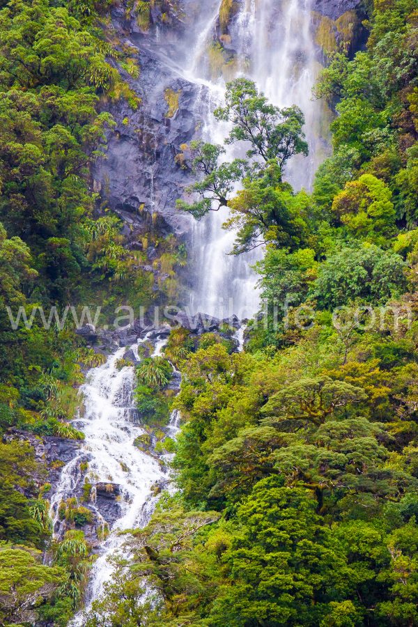 doubtful-sound-nz
