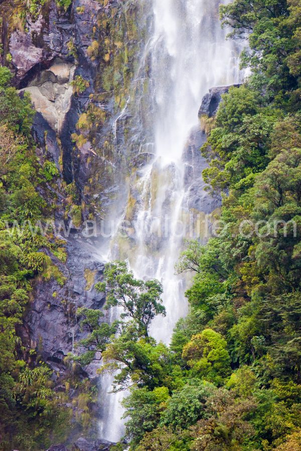 doubtful-sound-nz-2