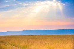serengeti-plains-scene
