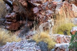 Australian nature photography