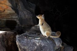 Australian nature photography