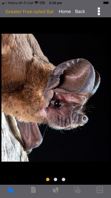 Species Images