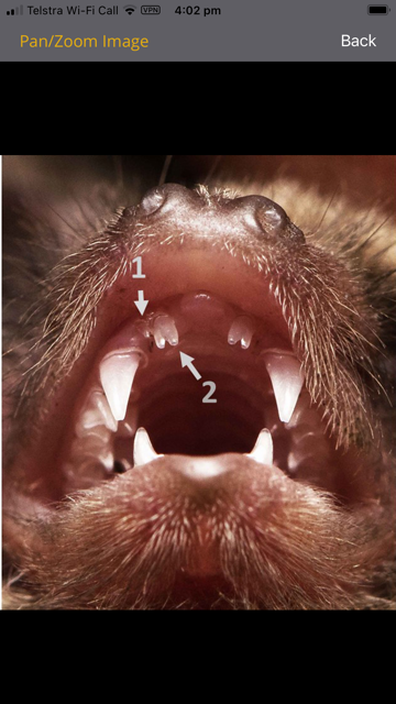 ….. and can be zoomed