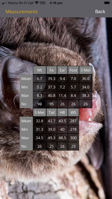Measurements