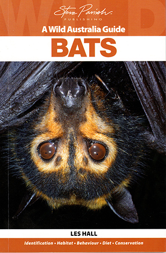 Bats Bats